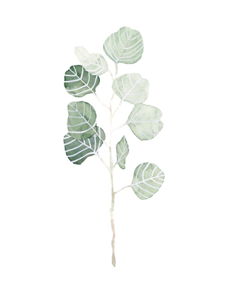 Picture of SOFT EUCALYPTUS BRANCH I