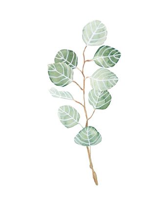 Picture of SOFT EUCALYPTUS BRANCH III