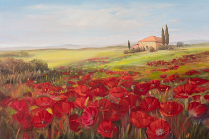 Picture of TUSCAN MEMORIES II