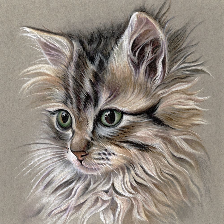 Picture of KITTEN PORTRAIT I