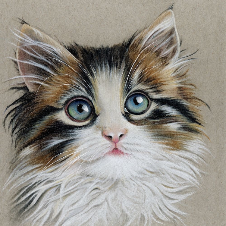 Picture of KITTEN PORTRAIT II