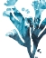 Picture of INKWASH KELP II