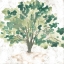 Picture of COUNTRY TREE I
