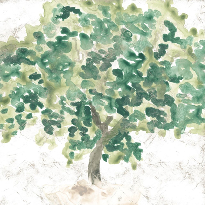 Picture of COUNTRY TREE II