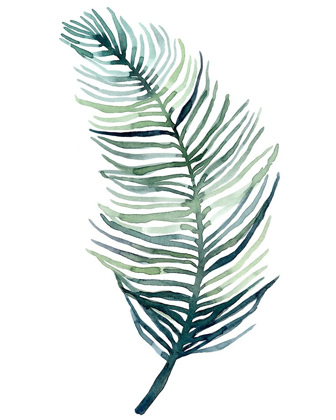 Picture of WATERCOLOR PALM LEAVES II