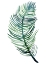 Picture of WATERCOLOR PALM LEAVES III