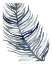 Picture of BLUE FEATHERED PALM I
