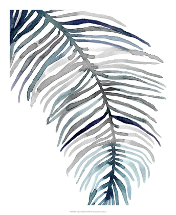 Picture of BLUE FEATHERED PALM II