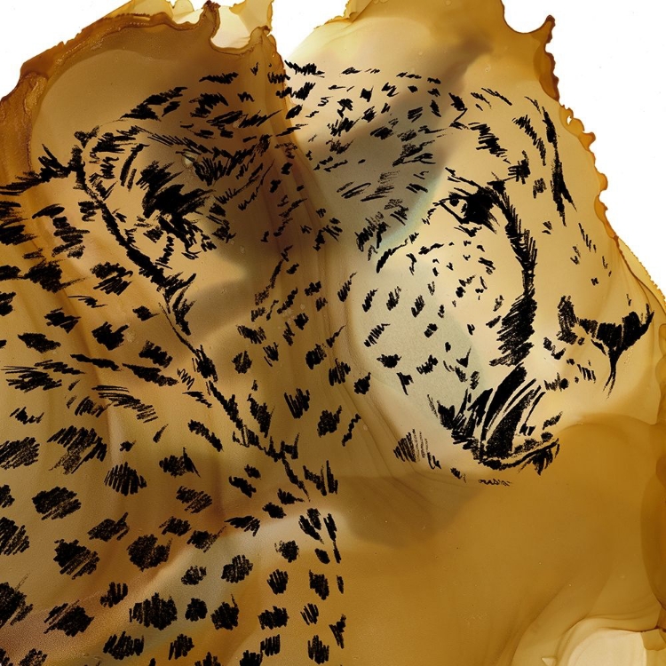 Picture of LEOPARD PORTRAIT II