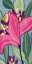 Picture of TROPICAL MIX I