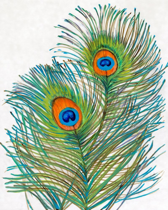 Picture of VIVID PEACOCK FEATHERS I