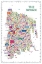Picture of NEW YORK COLLECTION-BRONX