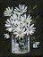 Picture of DAISIES ON BLACK