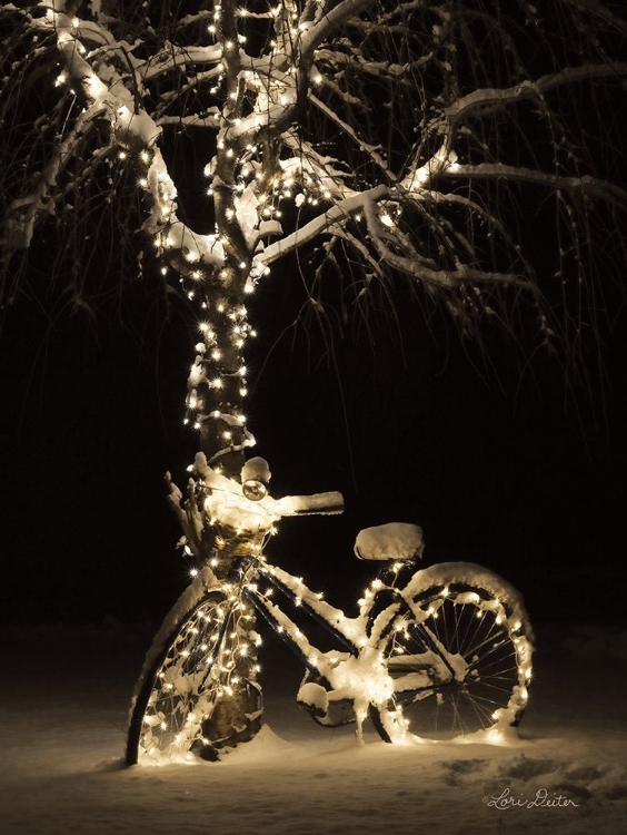 Picture of SNOWY BICYCLE