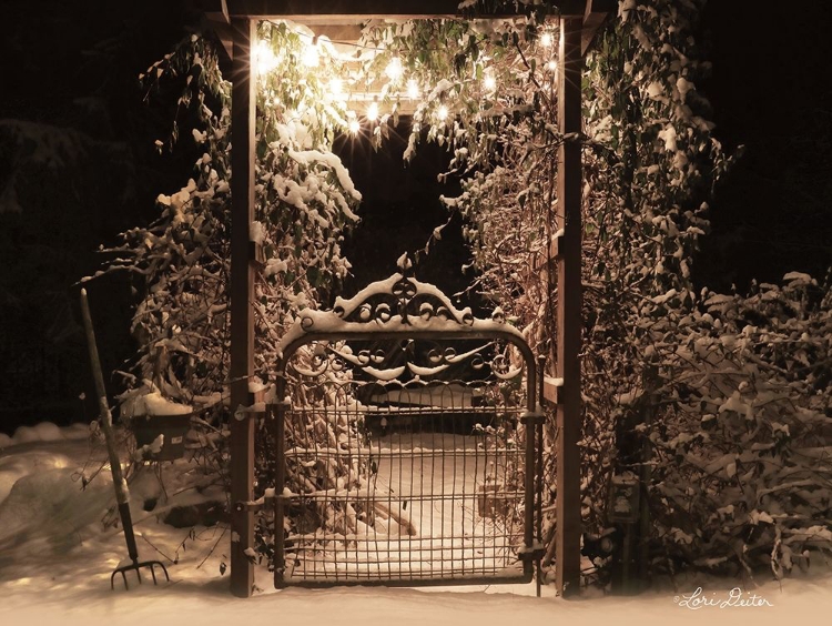 Picture of SNOWY GARDEN GATE