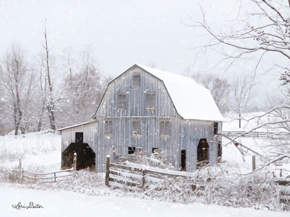 Picture of BLUE TINTED BARN