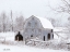 Picture of BLUE TINTED BARN