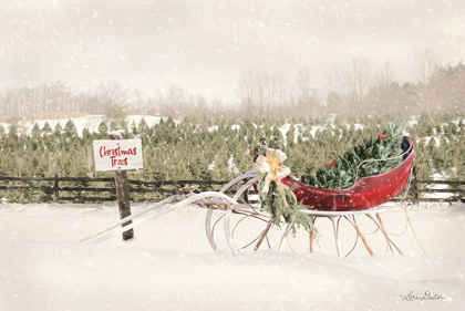 Picture of RED SLEIGH AT TREE FARM
