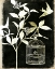 Picture of BRANCH AND BIRD I