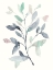 Picture of WATER BRANCHES I