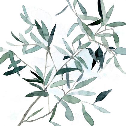 Picture of SERENE EUCALYPTUS II