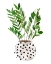 Picture of PLANT IN A POT III
