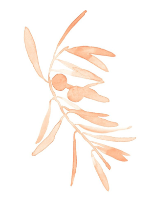 Picture of BLUSH OLIVE BRANCH I