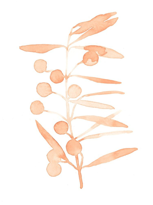 Picture of BLUSH OLIVE BRANCH II
