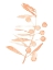 Picture of BLUSH OLIVE BRANCH III