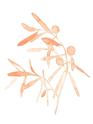 Picture of BLUSH OLIVE BRANCH IV