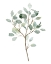 Picture of SEAGLASS EUCALYPTUS II