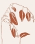 Picture of FRAGILE THINGS I