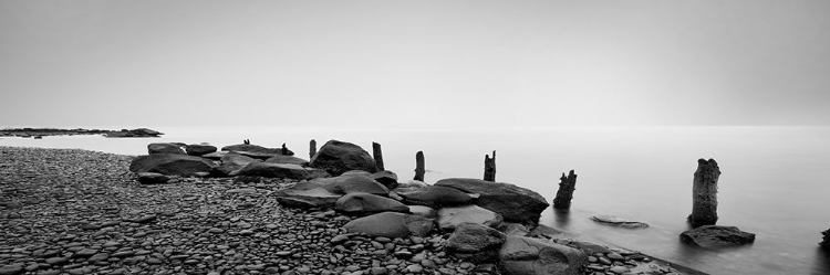 Picture of BLACK AND WHITE WATER PANEL I