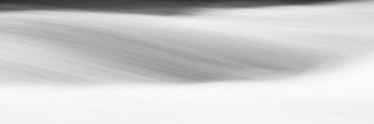 Picture of BLACK AND WHITE WATER PANEL IX