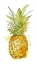 Picture of PINEAPPLE SPLASH I