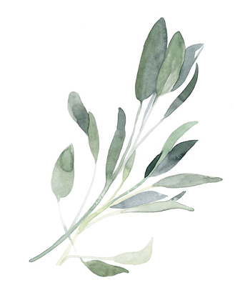 Picture of SIMPLE SAGE I