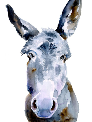Picture of SWEET DONKEY II