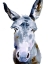 Picture of SWEET DONKEY II