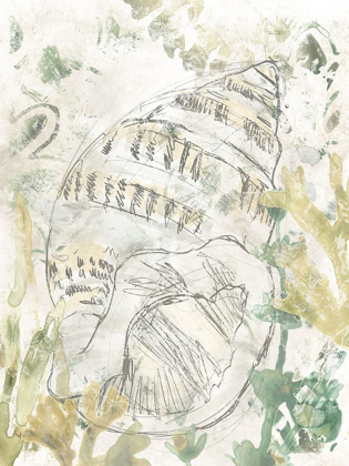 Picture of VERDANT SHELL FRESCO III