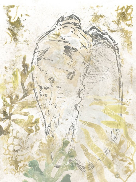 Picture of VERDANT SHELL FRESCO IV