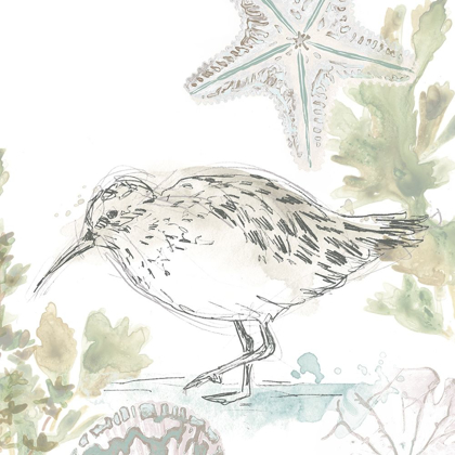 Picture of SEASIDE SANDPIPERS II
