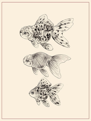 Picture of GOLDFISH II