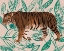 Picture of TIGRE DE SIBERIE II