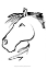 Picture of EQUINE PROFILE I