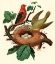 Picture of FEATHERING NEST II