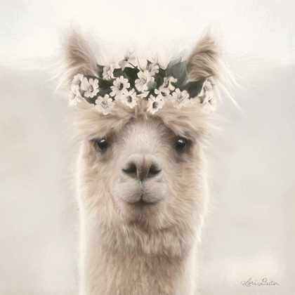 Picture of ALPACA WITH FLOWERS