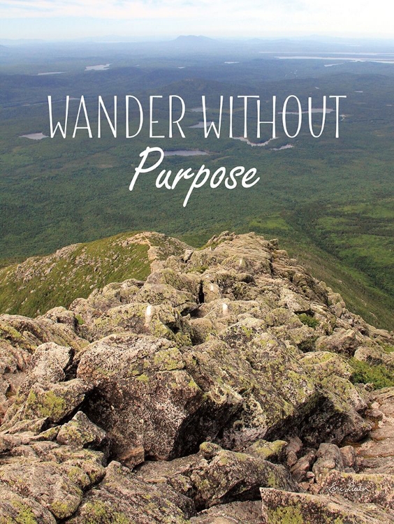 Picture of WANDER WITHOUT PURPOSE