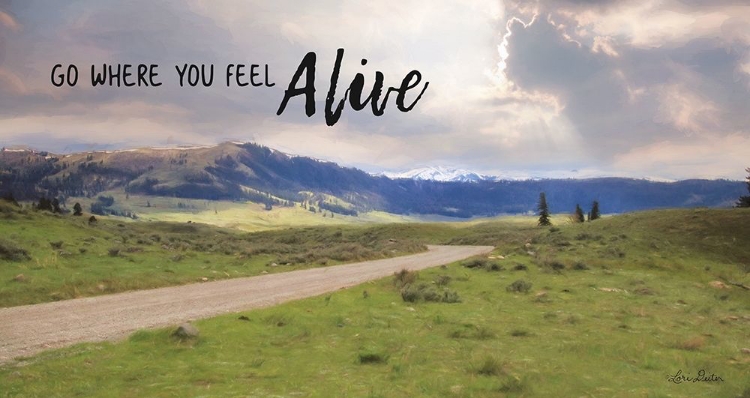 Picture of GO WHERE YOU FEEL ALIVE