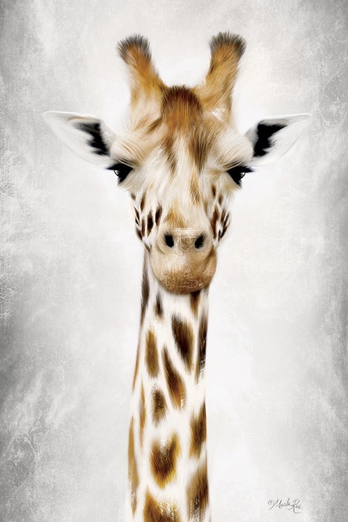 Picture of GERI THE GIRAFFE UP CLOSE