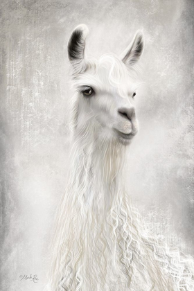 Picture of LULU THE LLAMA UP CLOSE